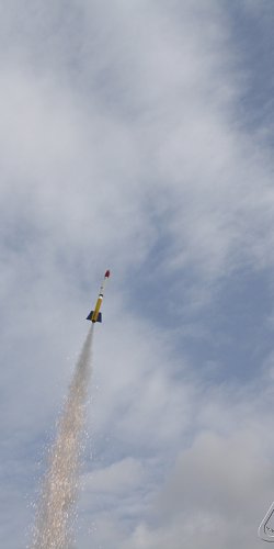 2013 Svojek Mirek Topinka